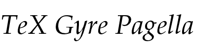 TeX Gyre Pagella Oblique Schriftart