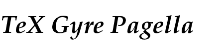 TeX Gyre Pagella Bold Italic Schriftart