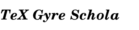 TeX Gyre Schola Bold Italic Schriftart