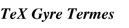 TeX Gyre Termes Bold Italic Schriftart