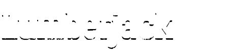 Lumberjack Rough Shadow Schriftart
