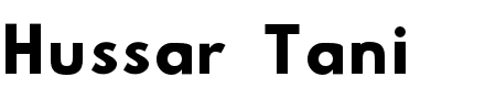 Hussar Tani Dwa Schriftart