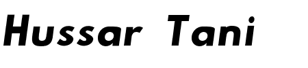 Hussar Tani Dwa Kursywa Schriftart