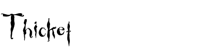 Schriftart Thicket: Mehr Infos & Vorschau Generator TTF: Thicket Schriftart